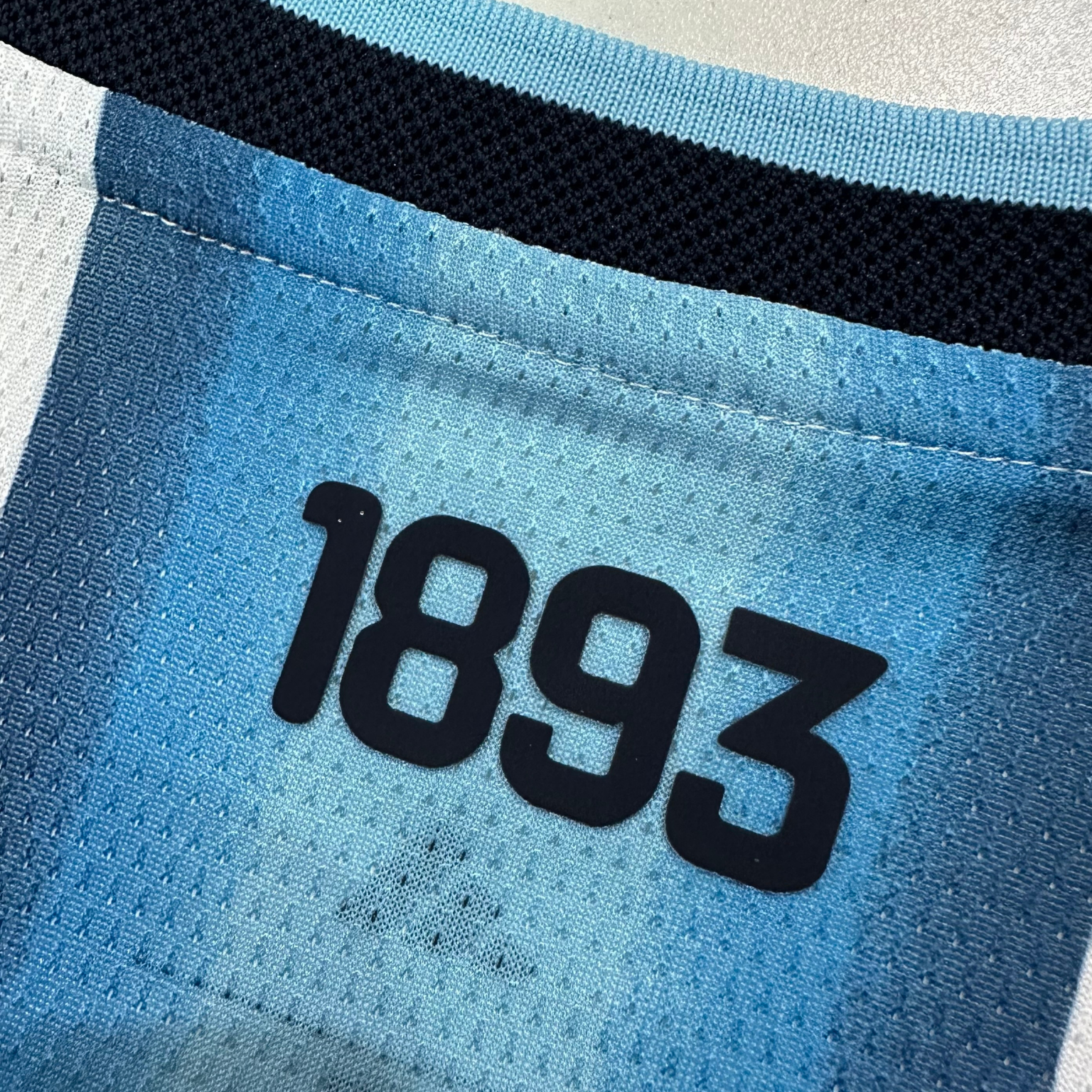 Argentina (Mundial 2026) – Jersey Local Manga Larga Premium